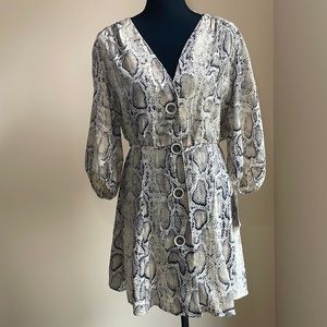 Zara Snakeskin Dress